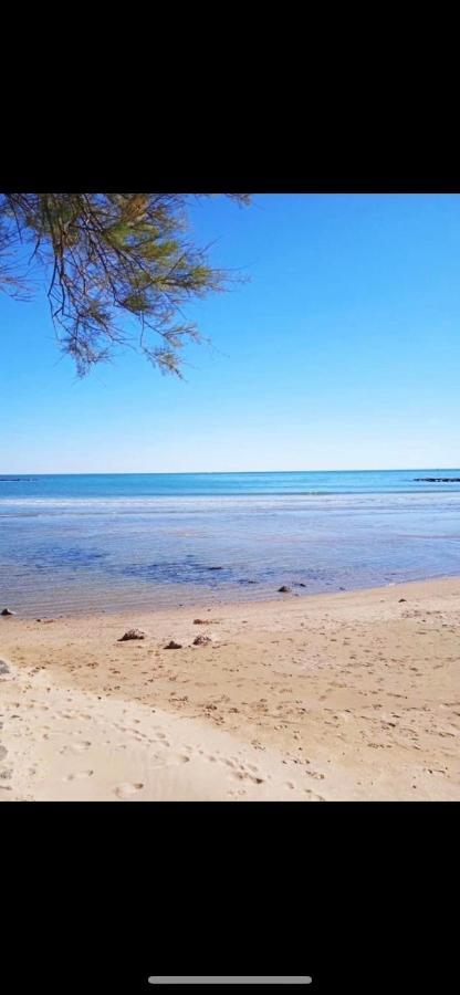 Le Coeur Des Sables Leilighet Le Grau-dʼAgde Eksteriør bilde